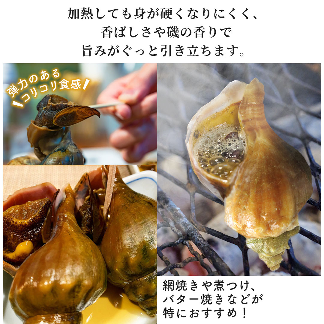北海道 海鮮BBQセット ホタテ・青つぶ貝・真ほっけ
