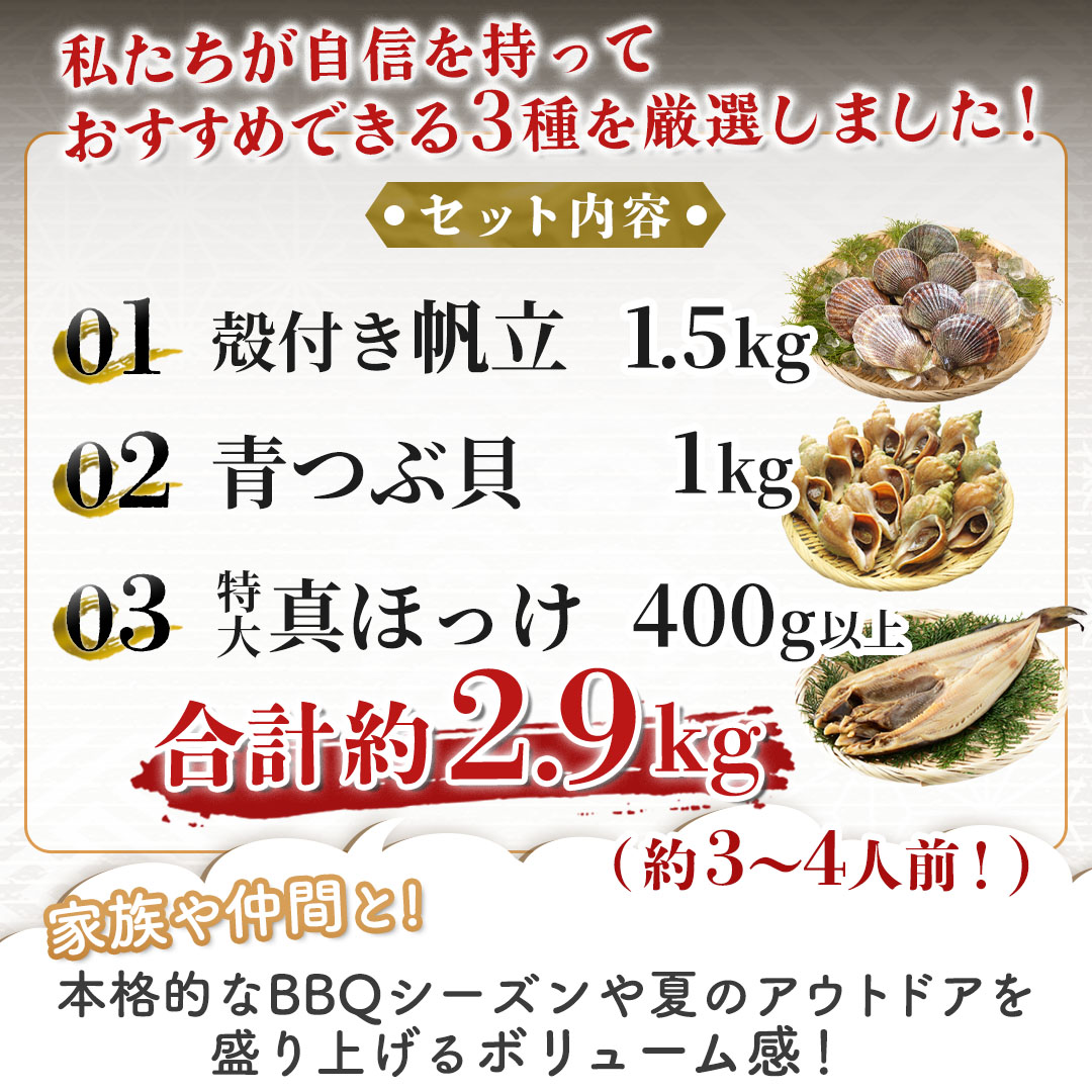 北海道 海鮮BBQセット ホタテ・青つぶ貝・真ほっけ