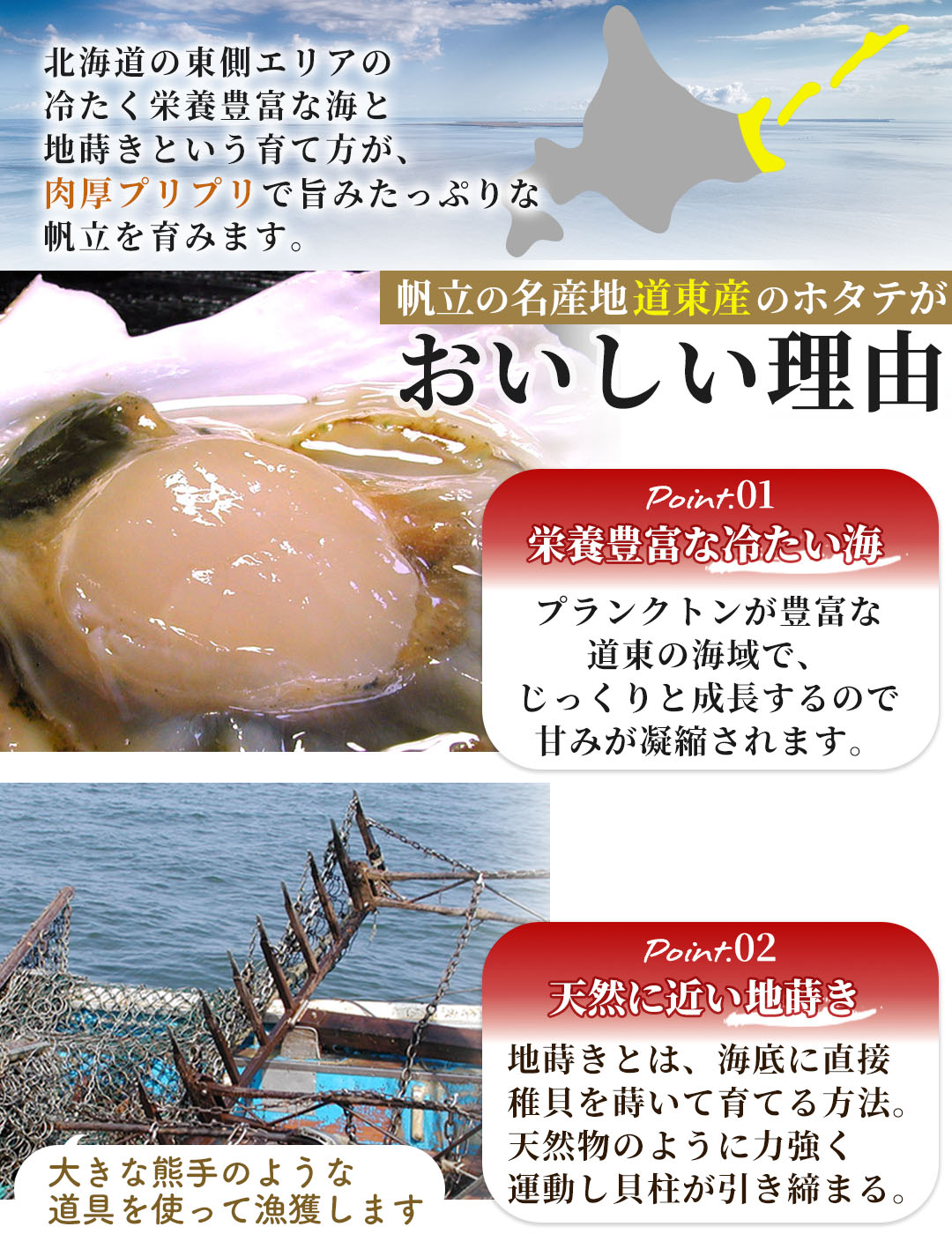 北海道 海鮮BBQセット ホタテ・青つぶ貝・真ほっけ