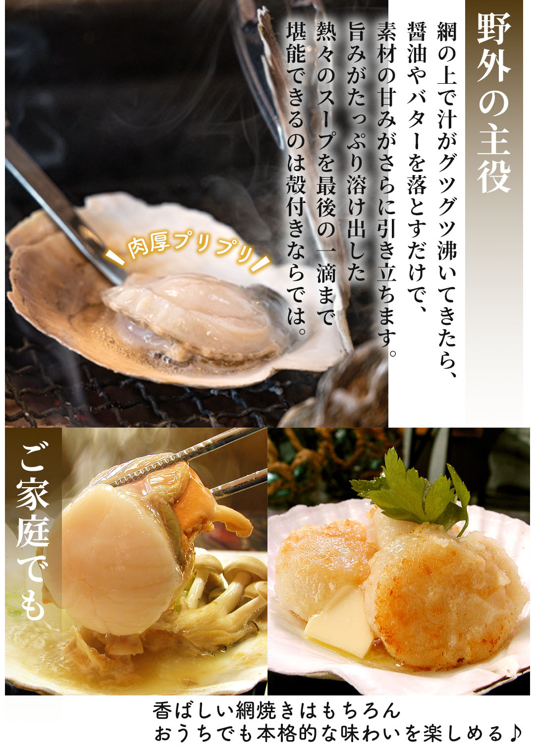 北海道 海鮮BBQセット ホタテ・青つぶ貝・真ほっけ