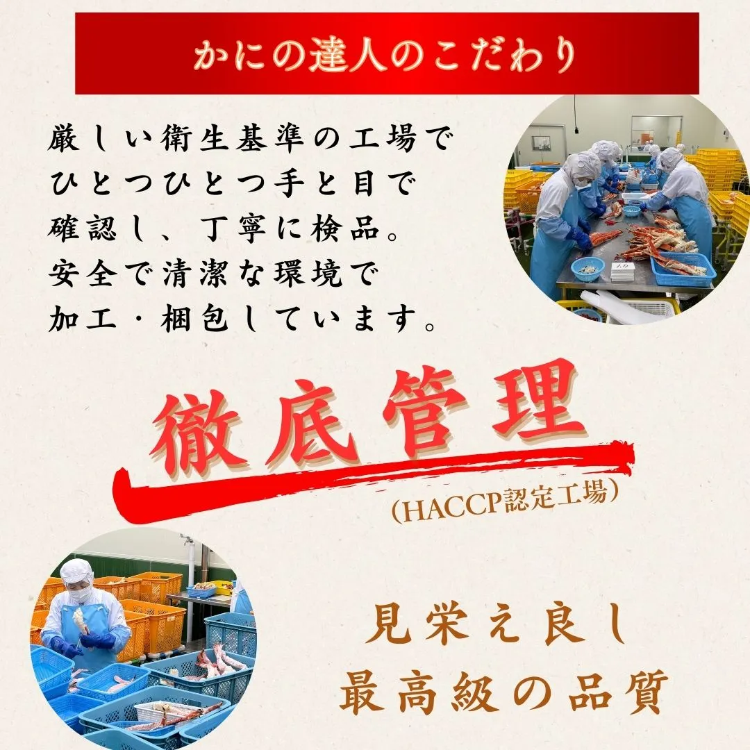 本生ズワイガニ | 北海道からお取り寄せ かにの達人
