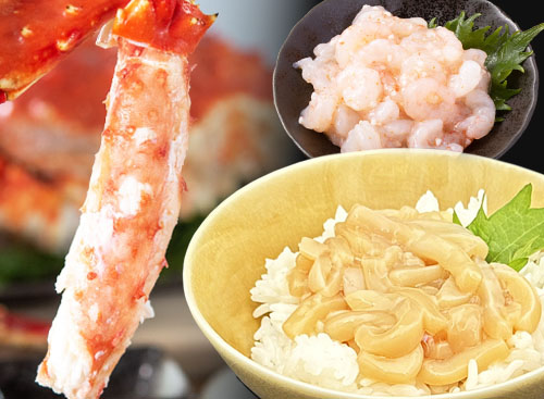 豪華海鮮詰め合わせ【極】特別パック