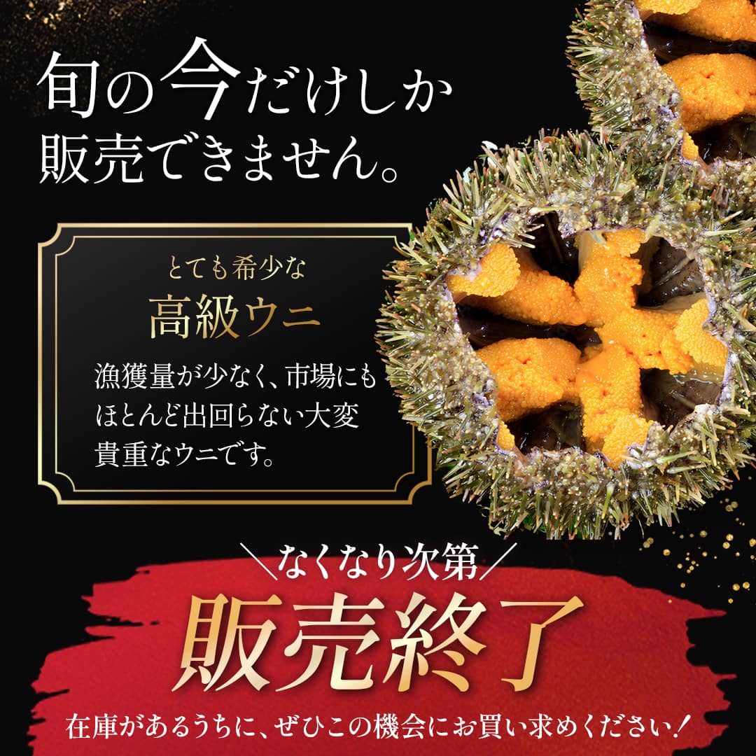 北海道産極上生ウニ2種食べ比べセット 200g（蝦夷バフンウニ・キタムラサキウニ）塩水パック ミョウバン不使用・無添加（冷蔵便）