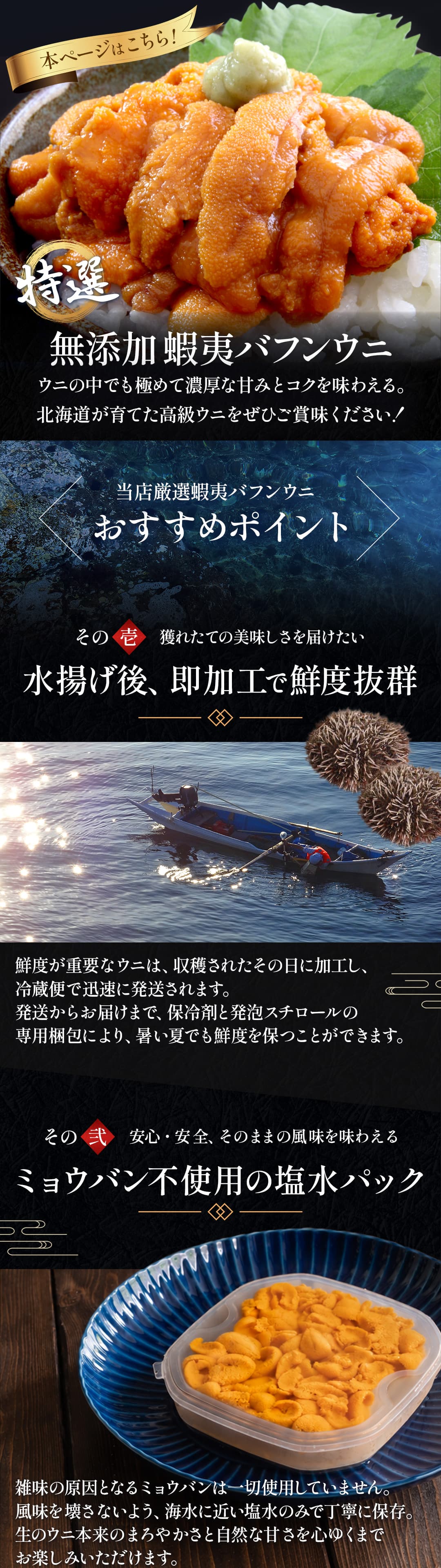 北北海道産蝦夷バフンウニ（エゾバフンウニ）100g 塩水パック ミョウバン不使用・無添加生ウニ