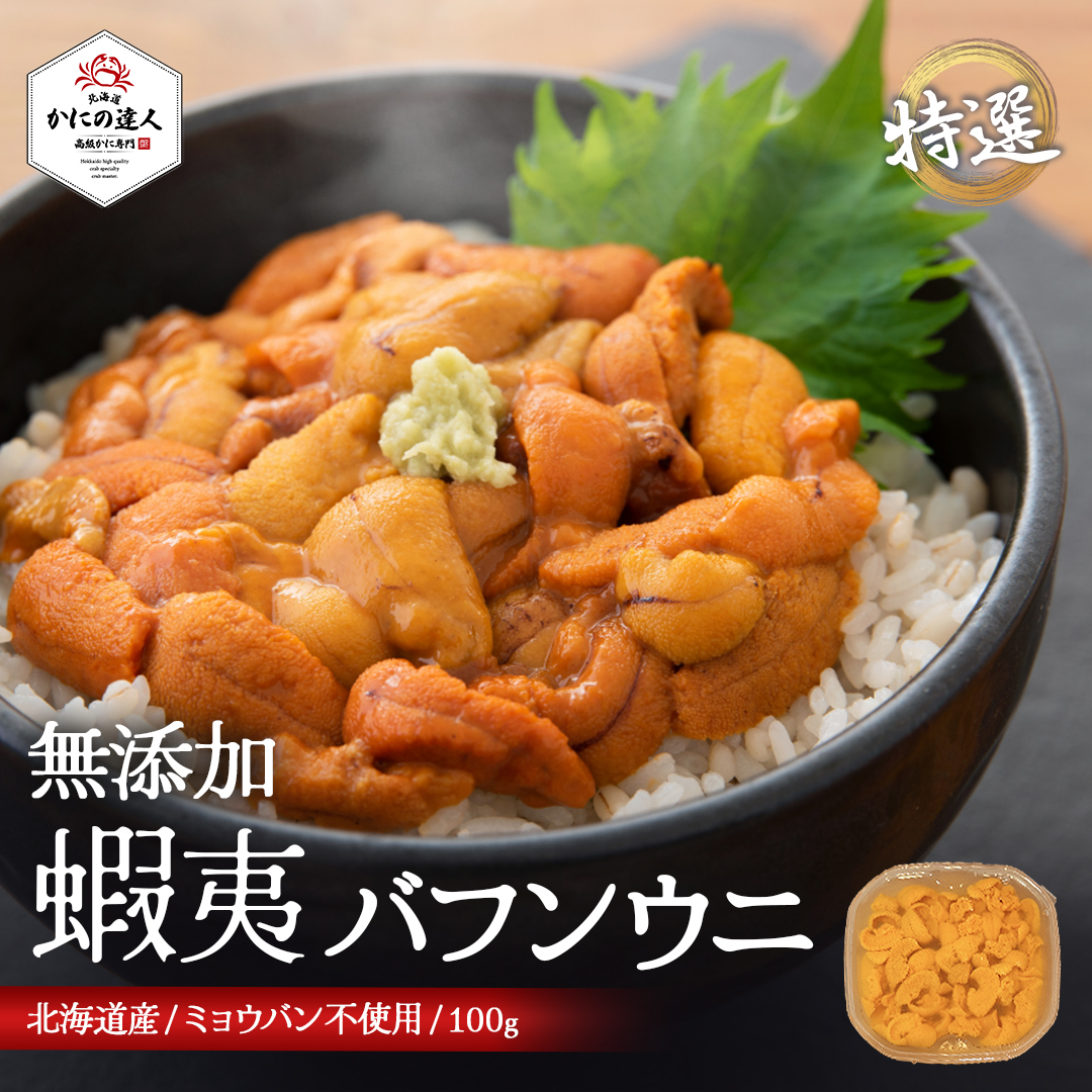 北海道産キタムラサキウニ 100g 塩水パック ミョウバン不使用・無添加生ウニ（冷蔵便）