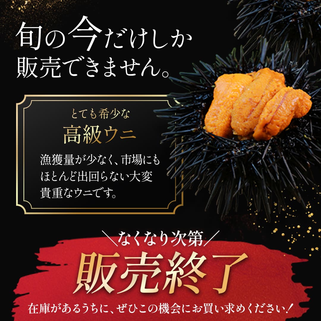 北海道産キタムラサキウニ 100g 塩水パック ミョウバン不使用・無添加生ウニ（冷蔵便）