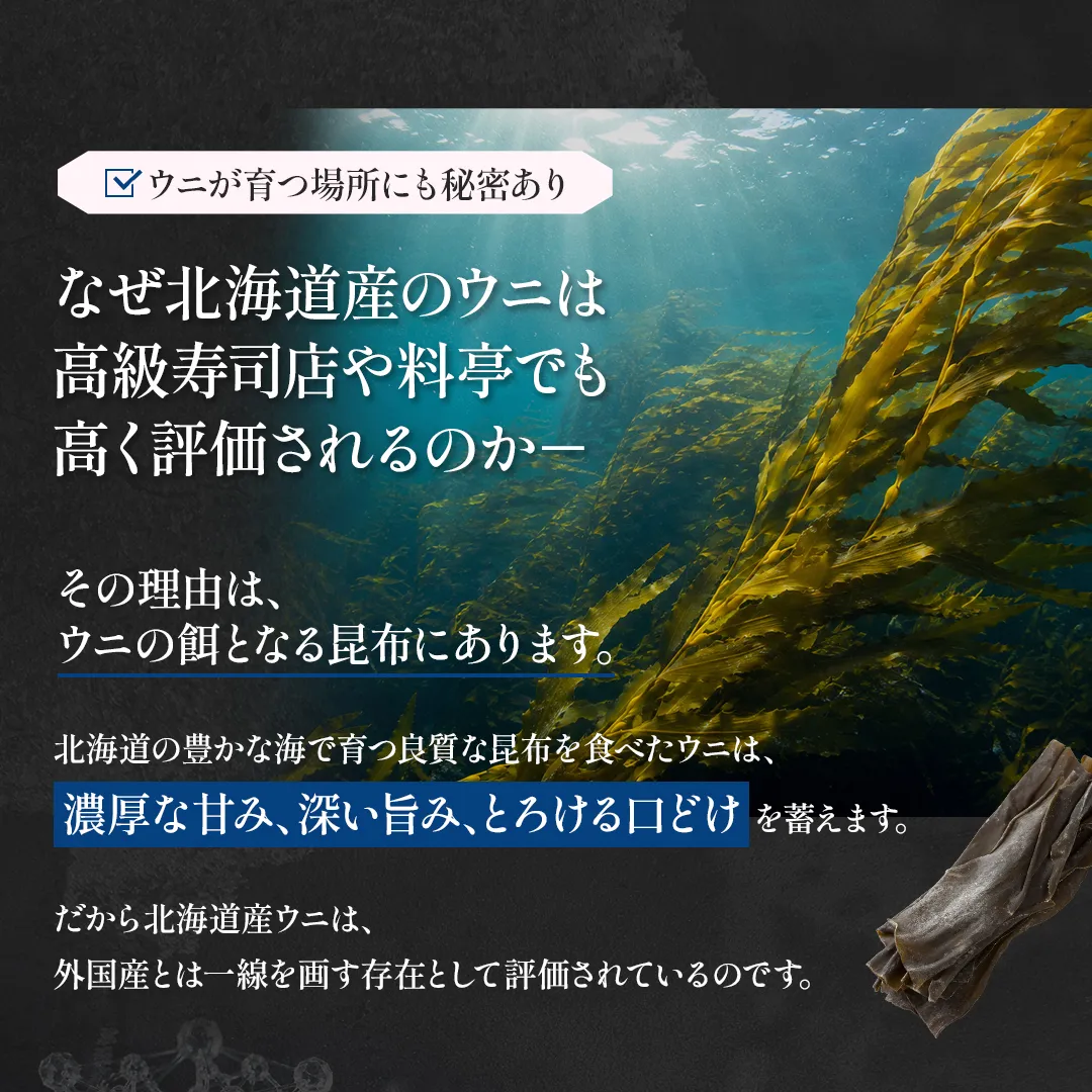 北海道産ウニ 塩水パック ミョウバン不使用・無添加生ウニ
