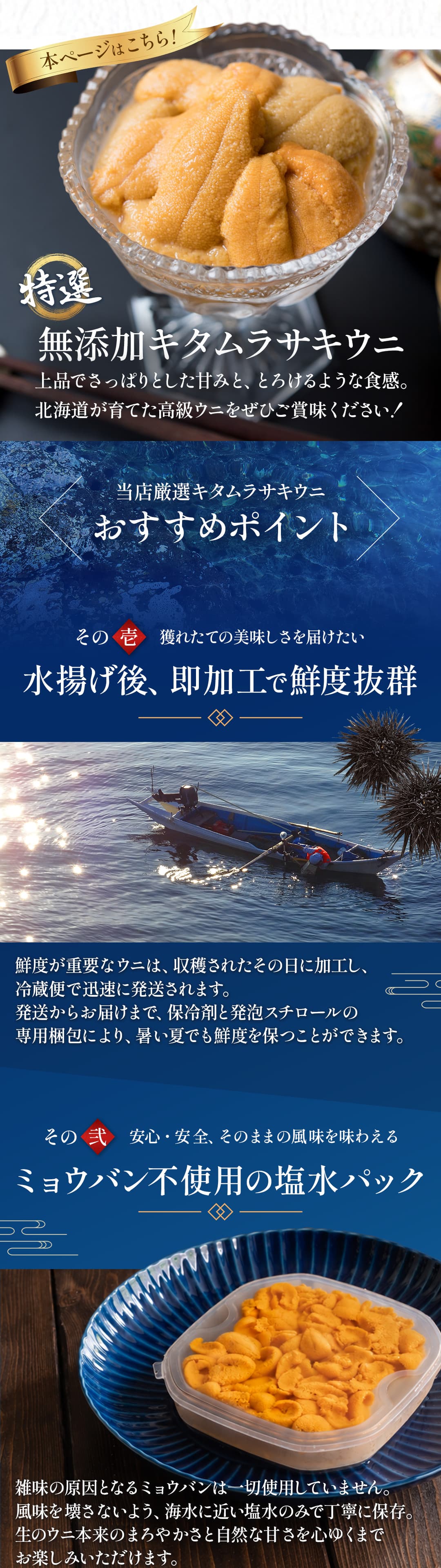 北海道産キタムラサキウニ 100g 塩水パック ミョウバン不使用・無添加生ウニ（冷蔵便）