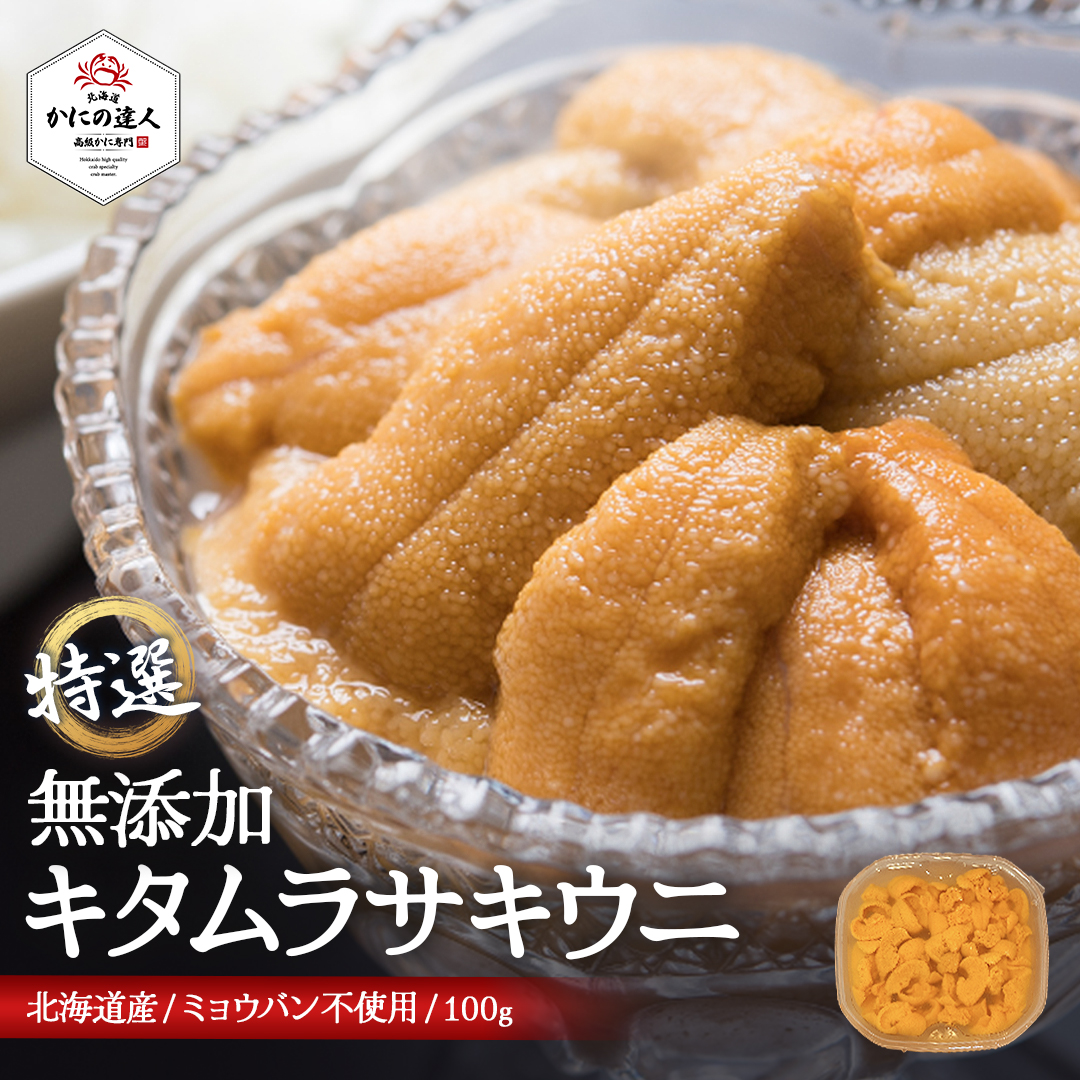 北海道産キタムラサキウニ 100g 塩水パック ミョウバン不使用・無添加生ウニ（冷蔵便）
