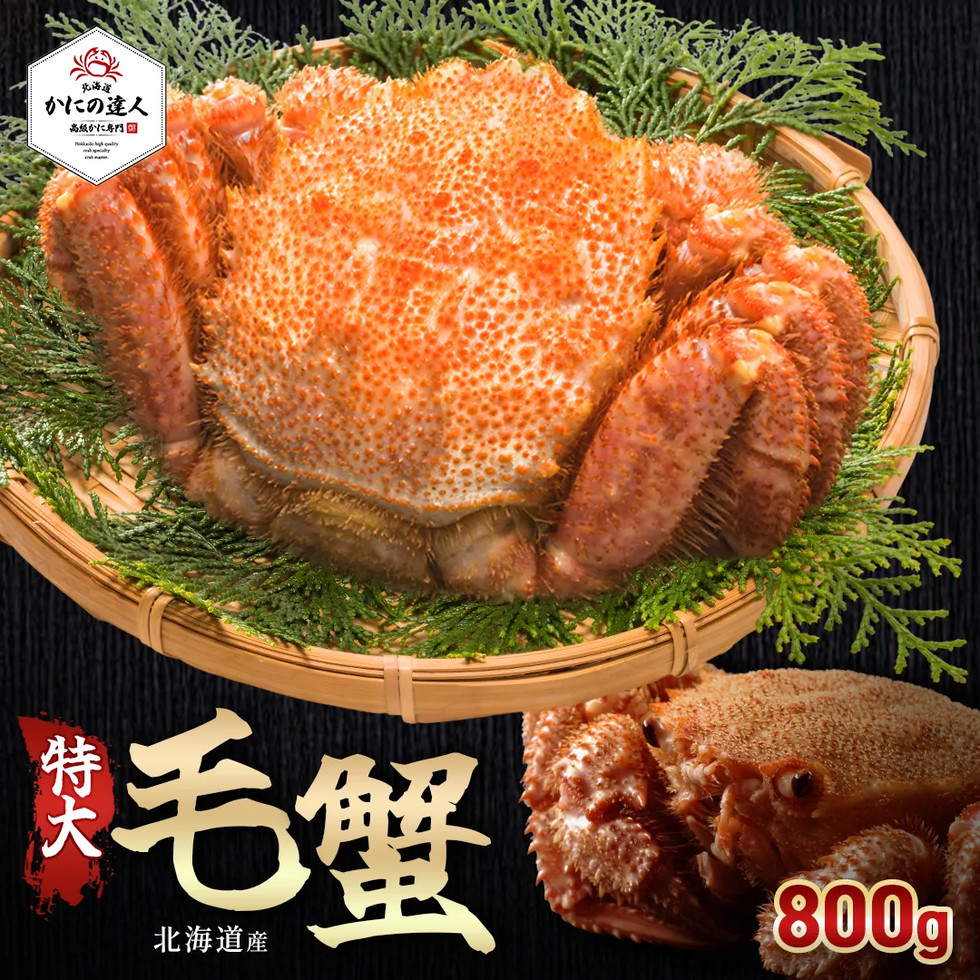 北海道産特大毛蟹 　800g相当｜濃厚な甘みと旨みを味わう本格毛ガニ|北海道からお取り寄せ かにの達人
