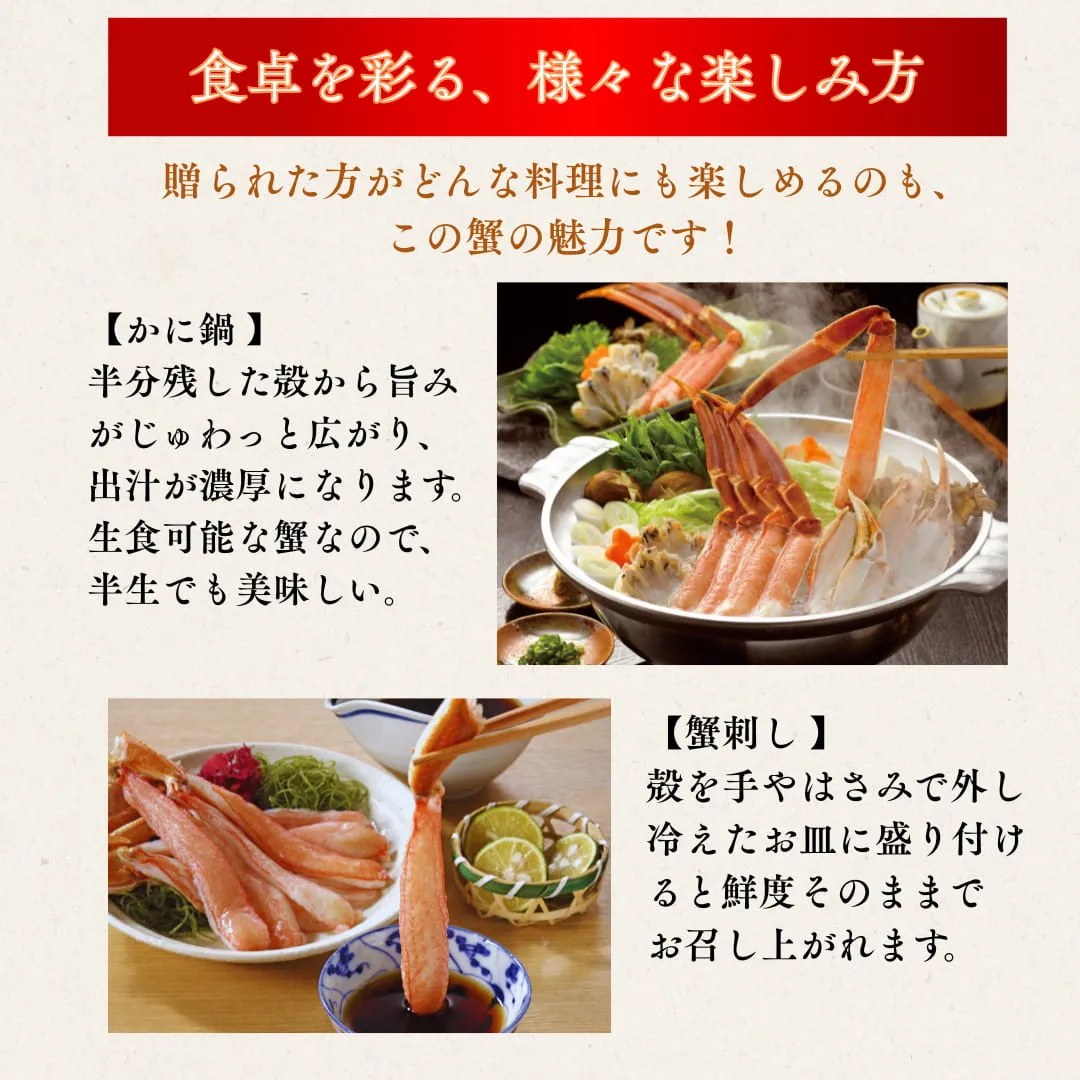 本生ズワイガニ | 北海道からお取り寄せ かにの達人