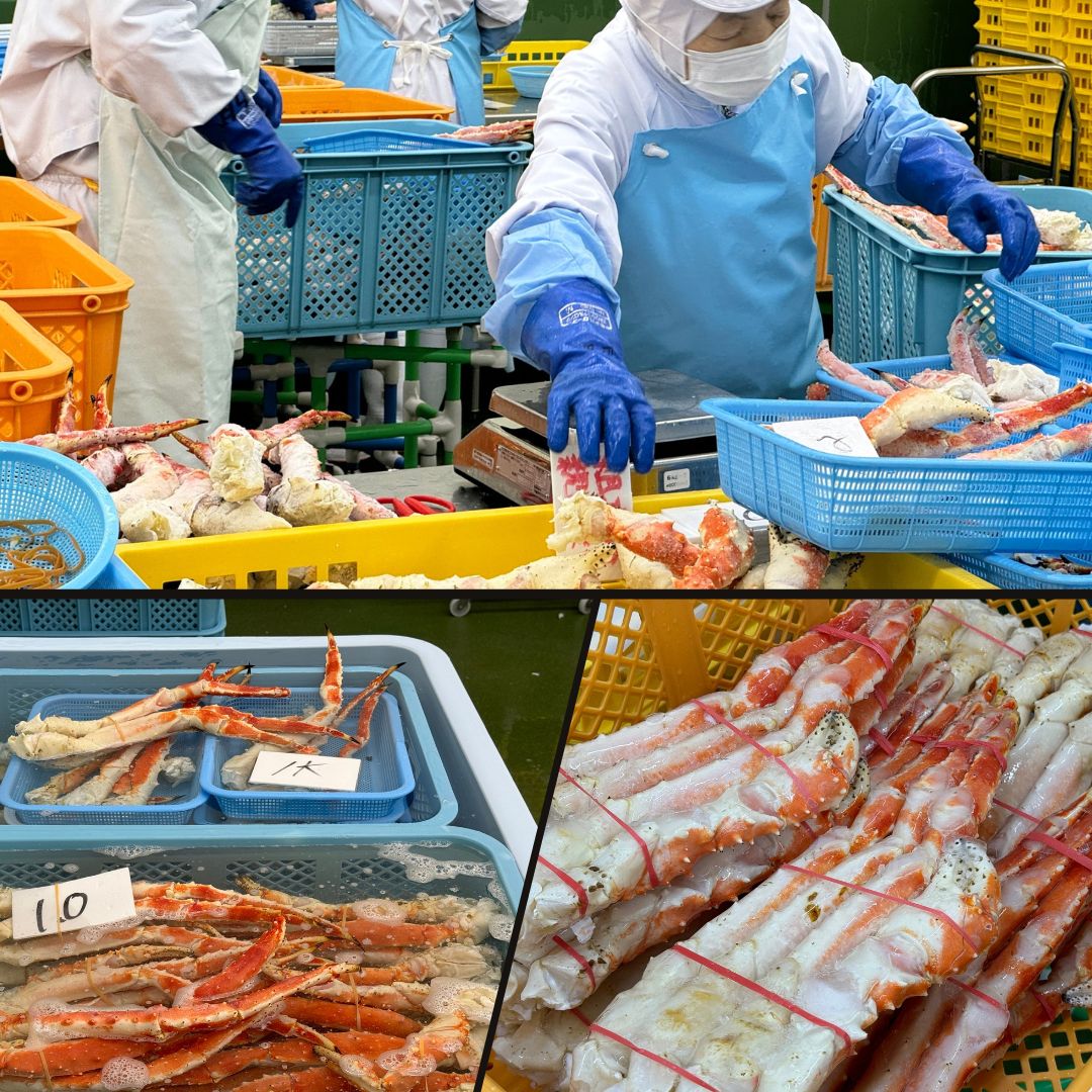 この道25年「かにの達人」が、プロの⽬利きで選んだ美味しい蟹をご⾃宅へ。