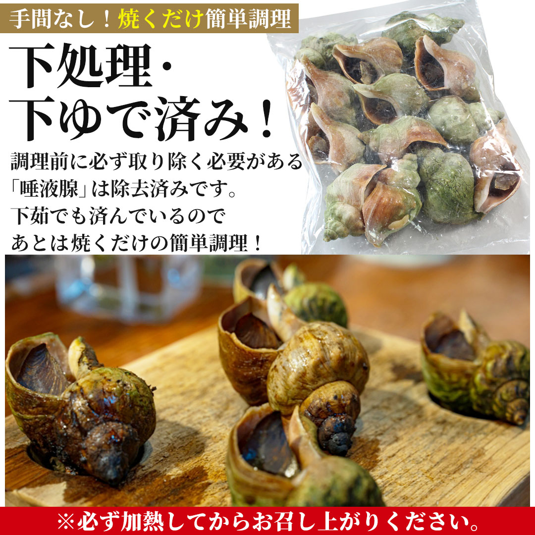 北海道産殻付き青つぶ貝1kg ボイル・下処理済み 海鮮バーベキュー・つぶ焼き用