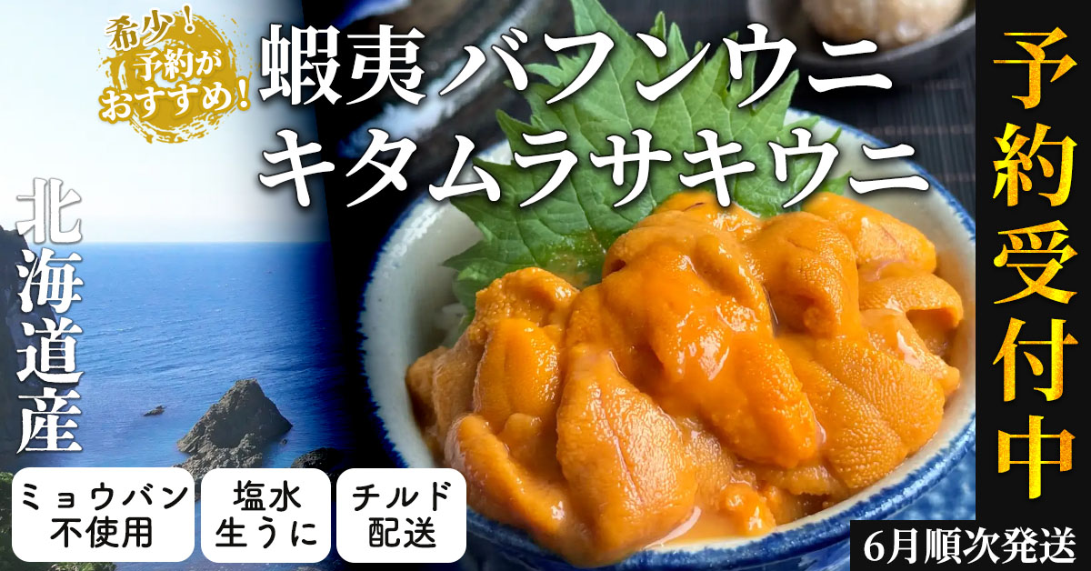 希少雲丹 北海道産蝦夷バフンウニ キタムラサキウニ