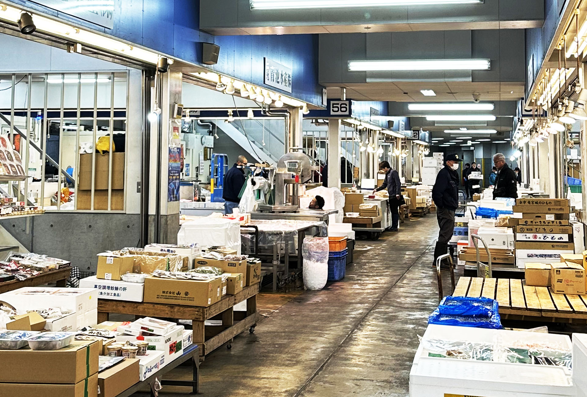 札幌中央卸売市場を主とした水産ルート02