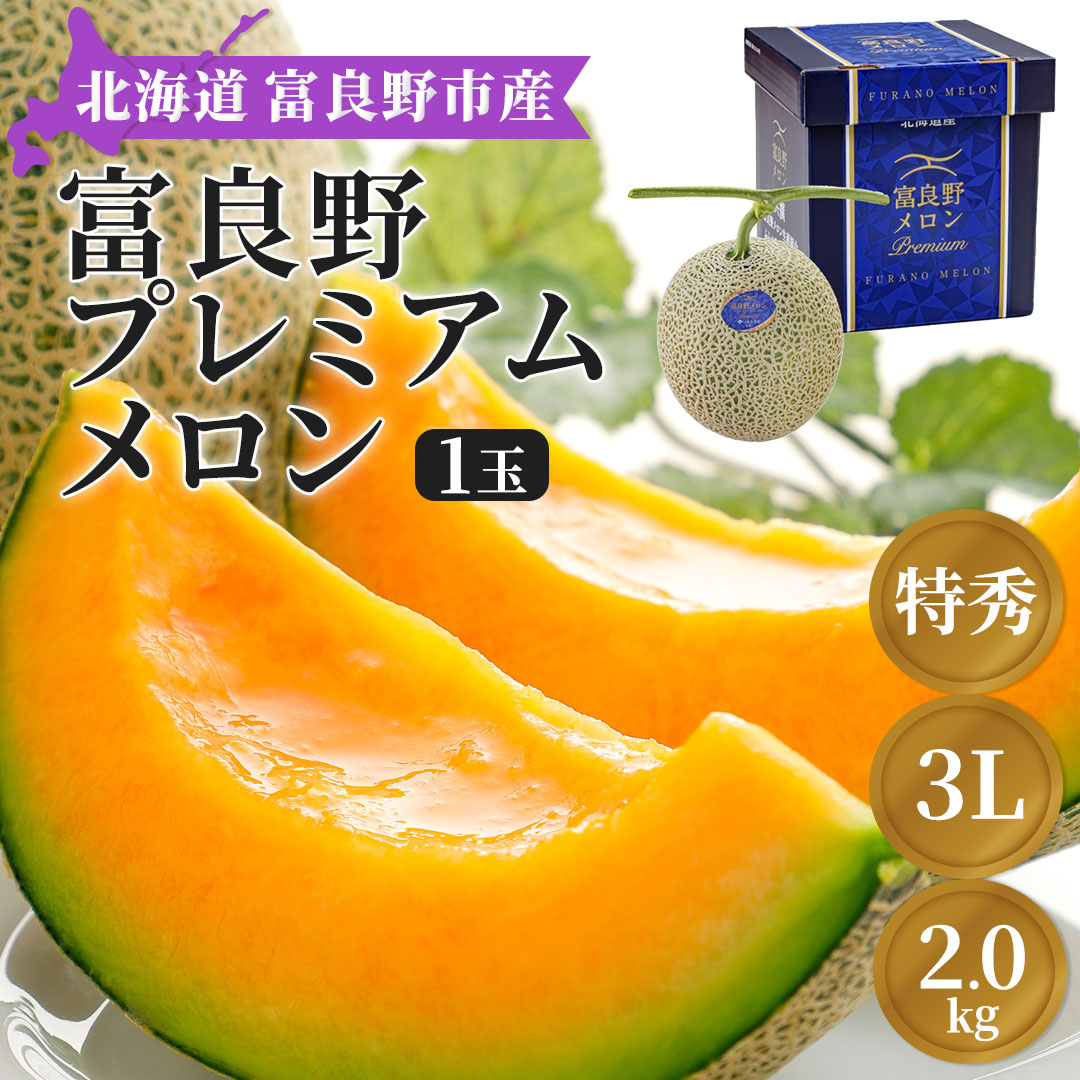 メロン1