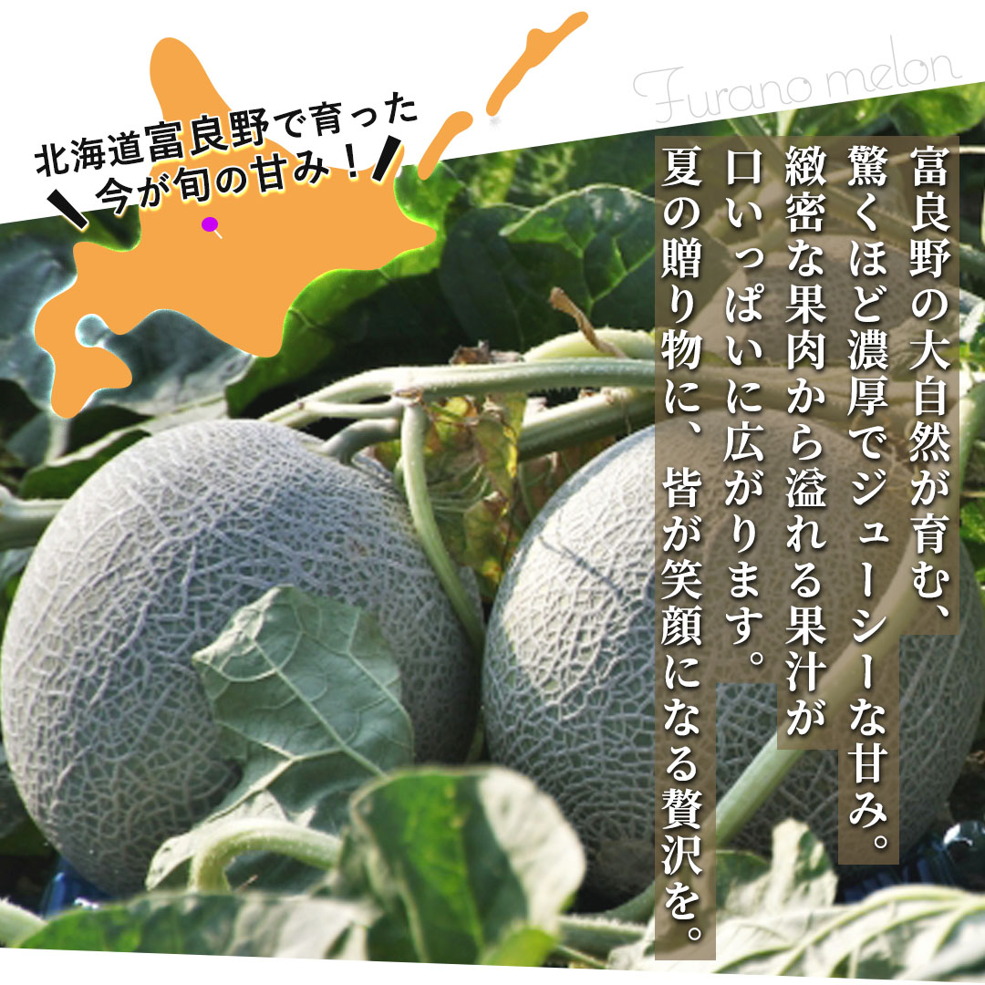 お中元に最適な富良野プレミアムメロン 豪華2玉セット（特秀品・3Lサイズ）