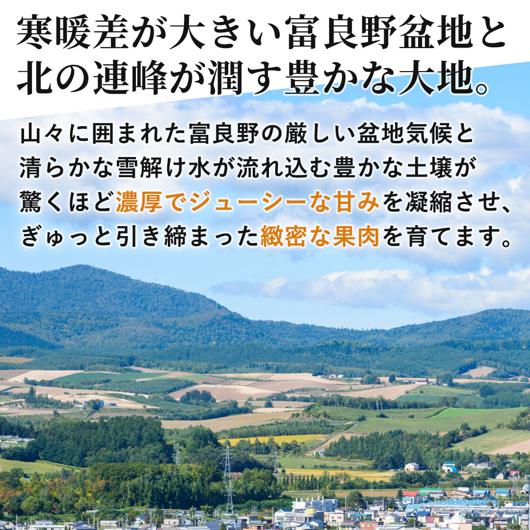 お中元に最適な富良野プレミアムメロン 豪華2玉セット（特秀品・3Lサイズ）