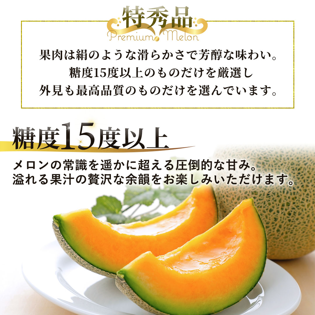 お中元に最適な富良野プレミアムメロン 豪華2玉セット（特秀品・3Lサイズ）