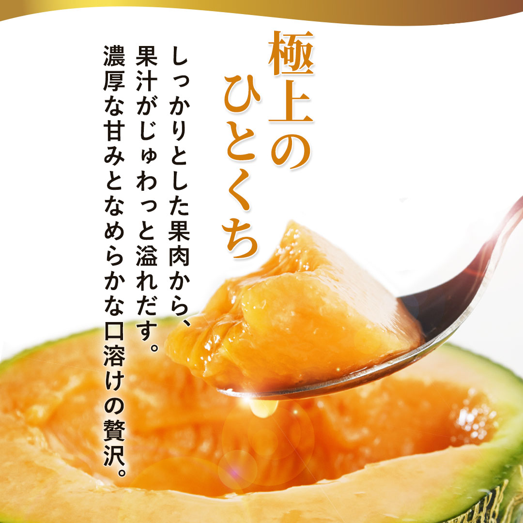 お中元に最適な富良野プレミアムメロン 豪華2玉セット（特秀品・3Lサイズ）