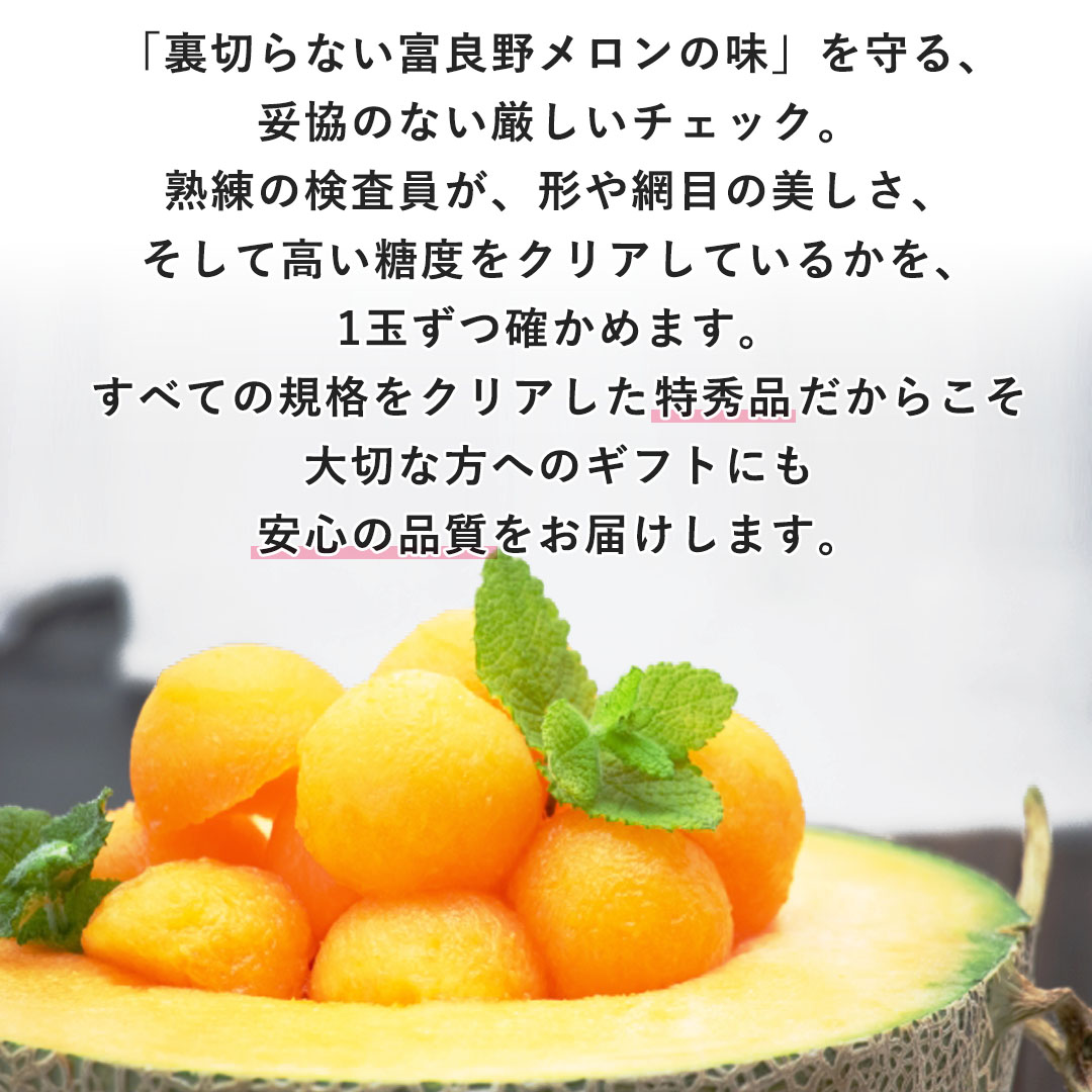 お中元に最適な富良野プレミアムメロン 豪華2玉セット（特秀品・3Lサイズ）