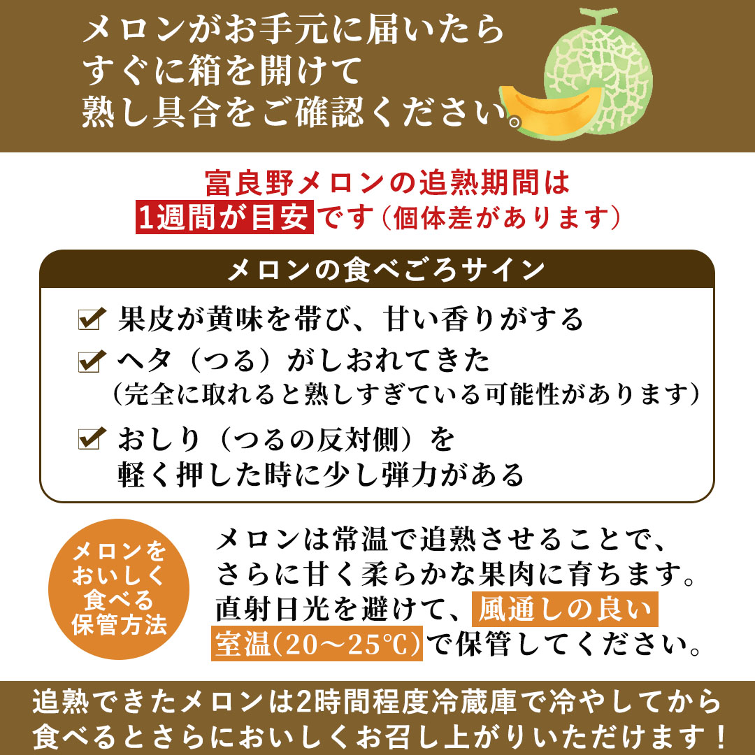 お中元に最適な富良野プレミアムメロン 豪華2玉セット（特秀品・3Lサイズ）