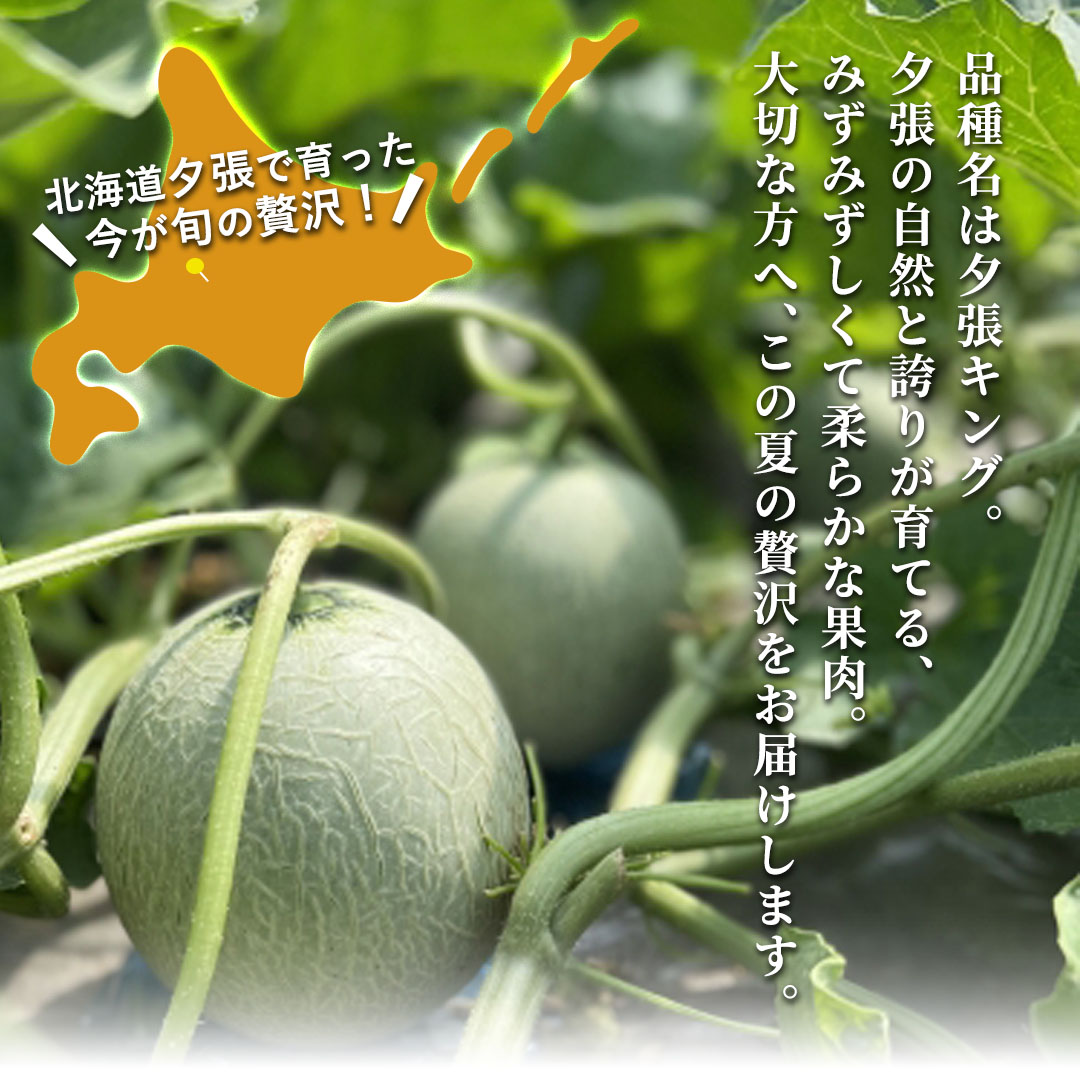 お中元に/最適な圧倒的なとろける甘さ。夕張メロン