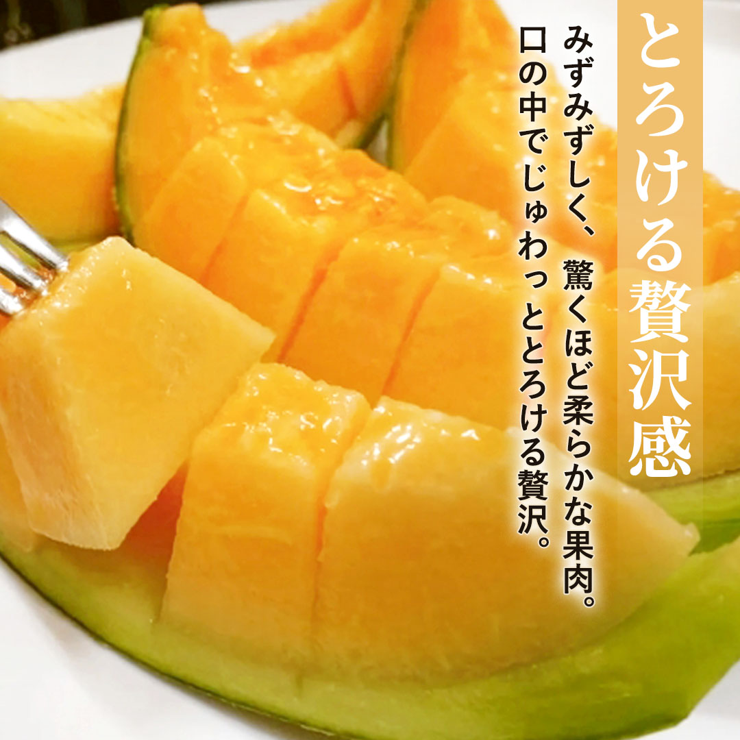 お中元に/最適な圧倒的なとろける甘さ。夕張メロン