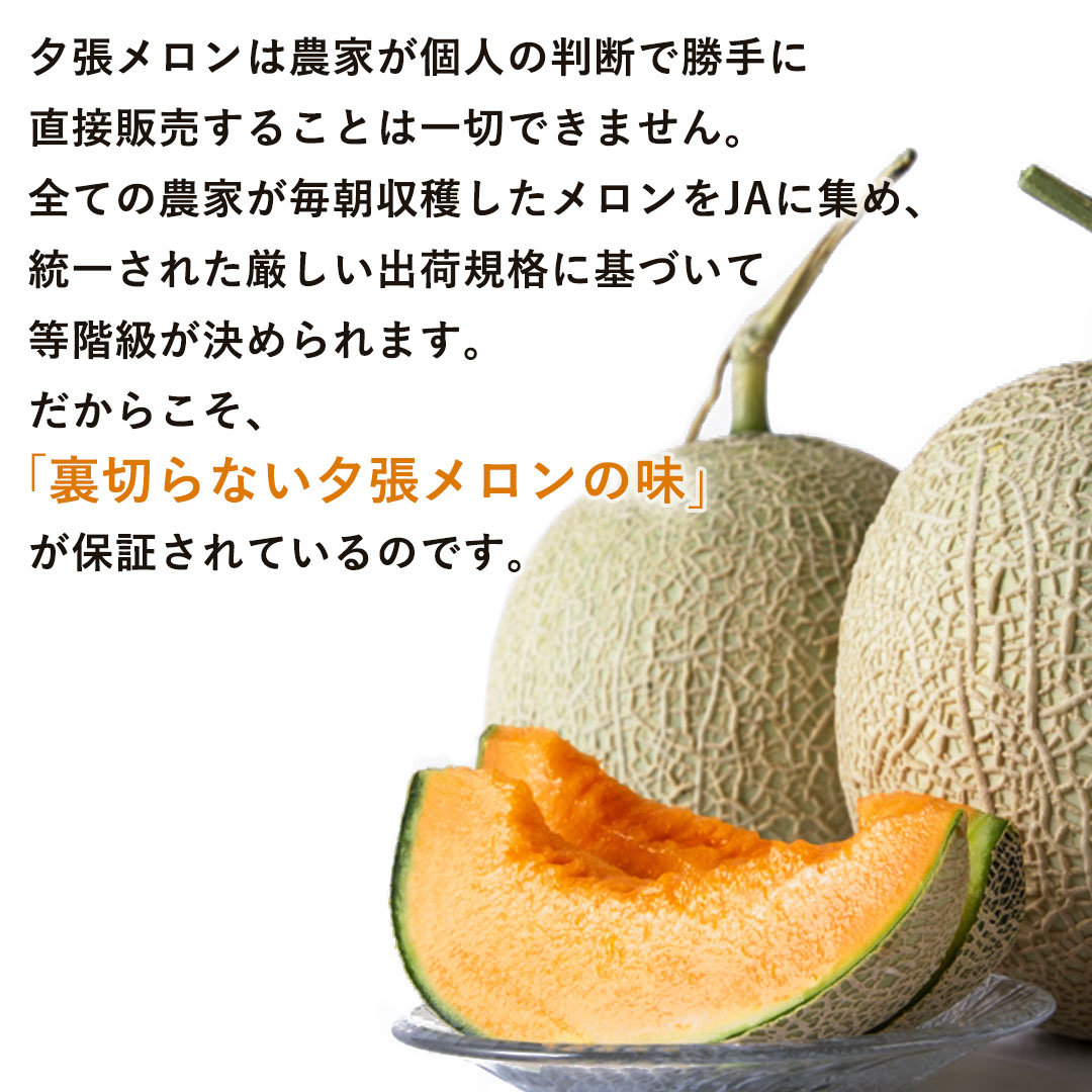 お中元に/最適な圧倒的なとろける甘さ。夕張メロン