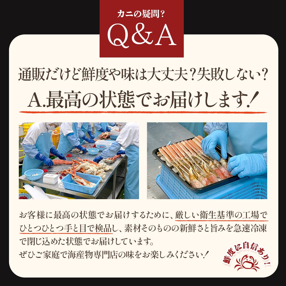ボイル本ズワイガニ脚 1kg（3～4肩・シュリンク包装）｜旨み濃厚の王道