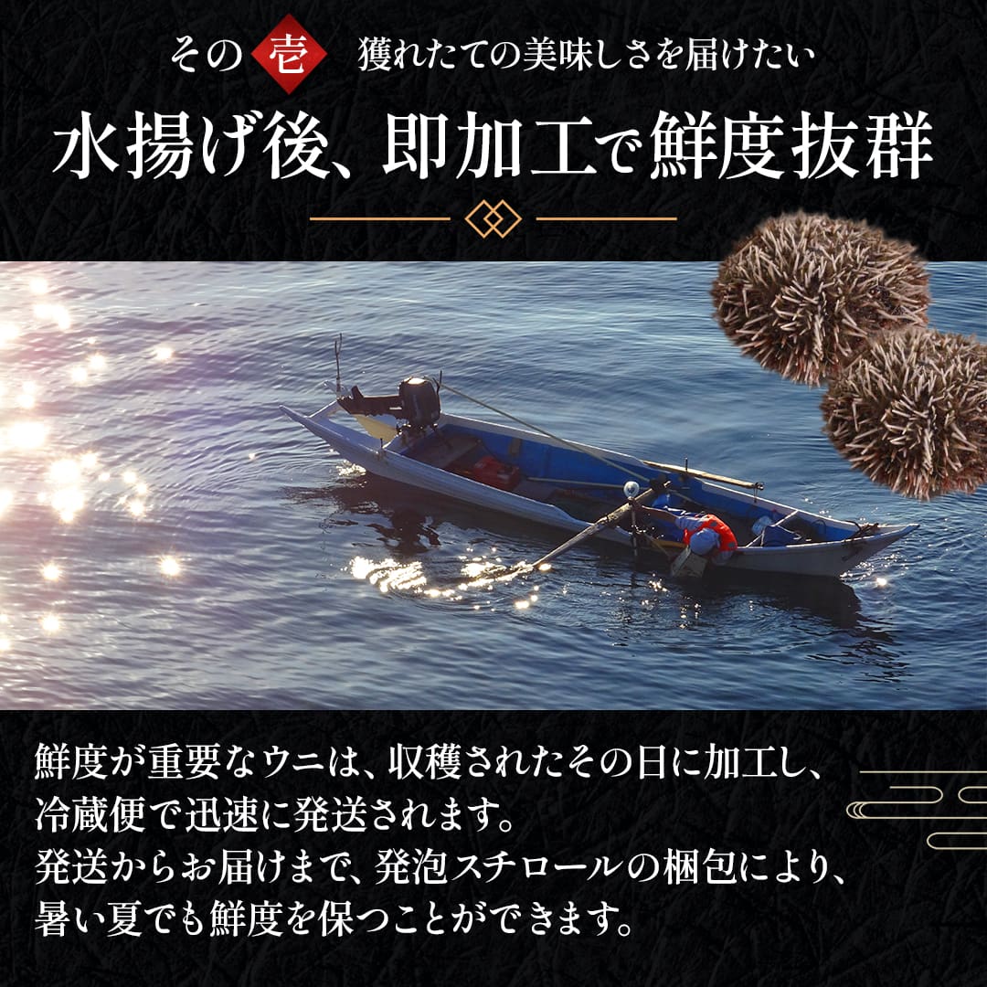ハニヴ フィンセット(20日まで限定出品) 7/31で販売終了】【数量限定】北海道産 蝦夷バフンウニ （100g×1パック