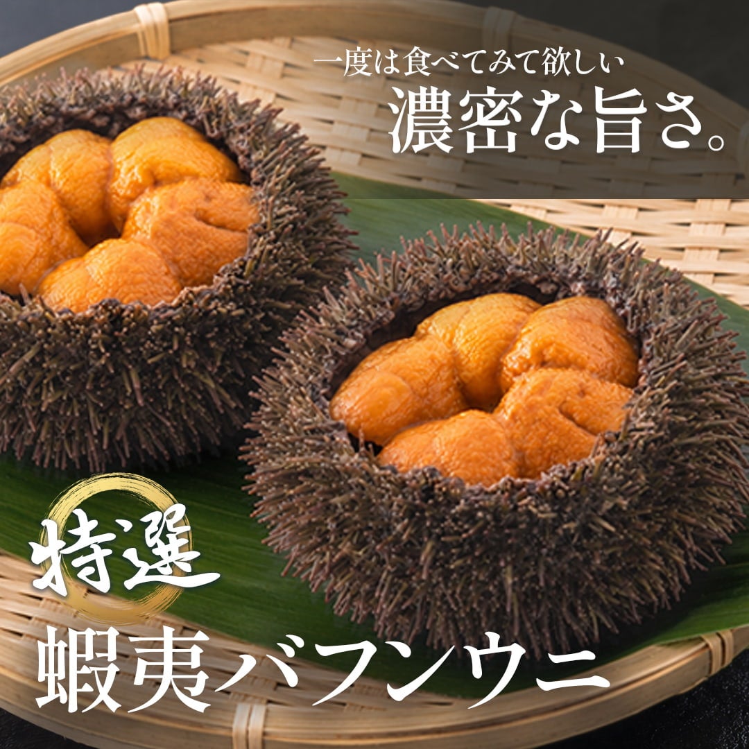 7/31で販売終了】【数量限定】北海道産 蝦夷バフンウニ （100g×1パック