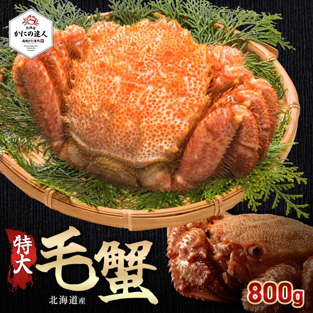 特大毛蟹1尾