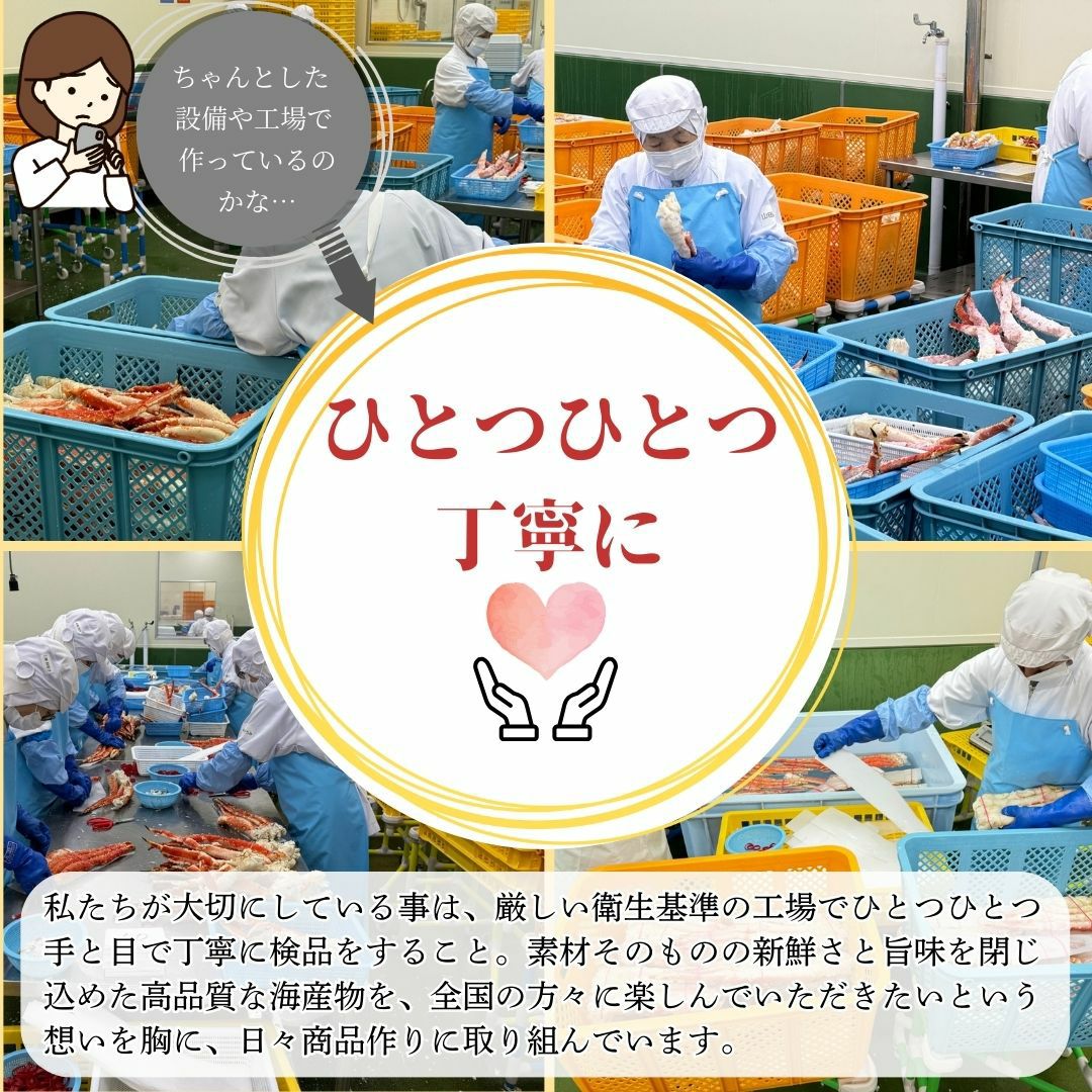 二大蟹食べ比べセット｜ボイル本ズワイガニ1kg＋北海道産毛蟹400g