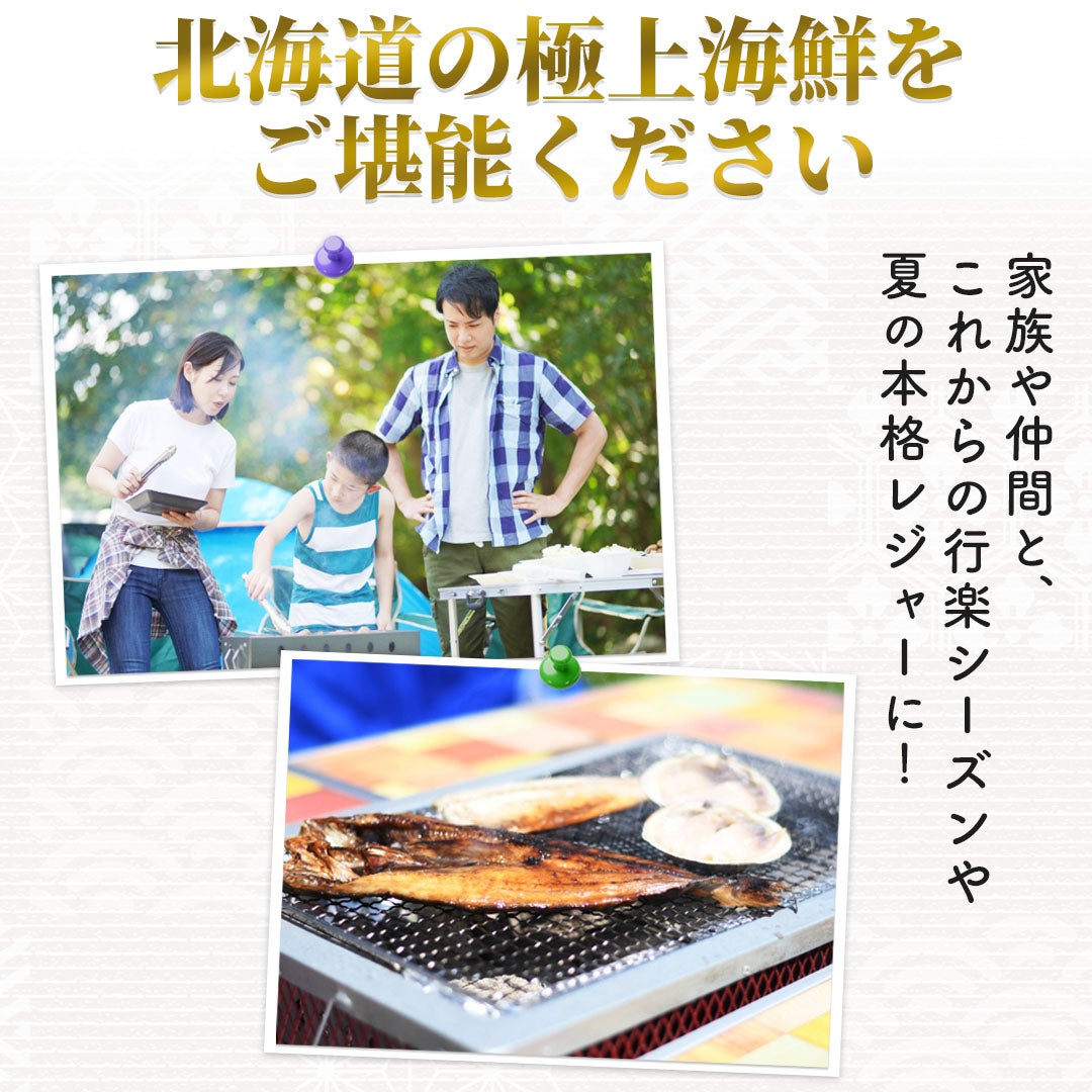 北海道 海鮮BBQセット 3種 合計約3kg （ホタテ1.5kg・青つぶ1kg・真
